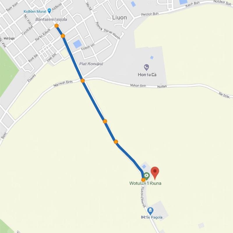 Duong den Chua Dich Long Ninh Binh tu thanh pho Ninh Binh