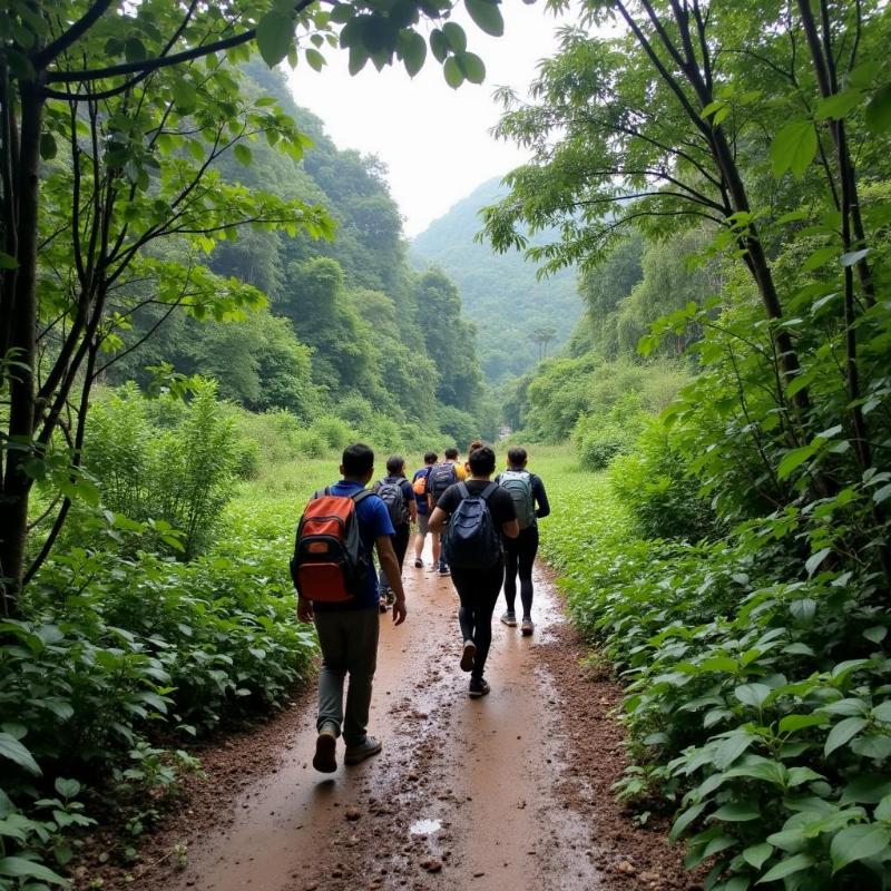 du-khach-trekking-trong-vuon-quoc-gia-cuc-phuong-ninh-binh